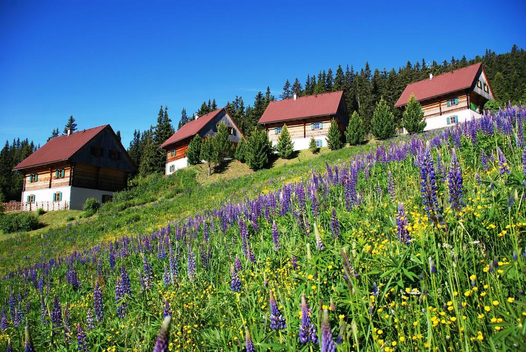 Вилла Moselebaueralm Klippitztorl Номер фото