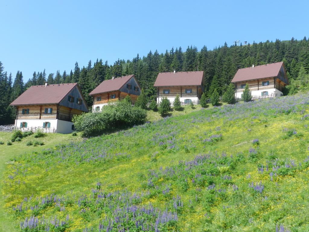 Вилла Moselebaueralm Klippitztorl Номер фото